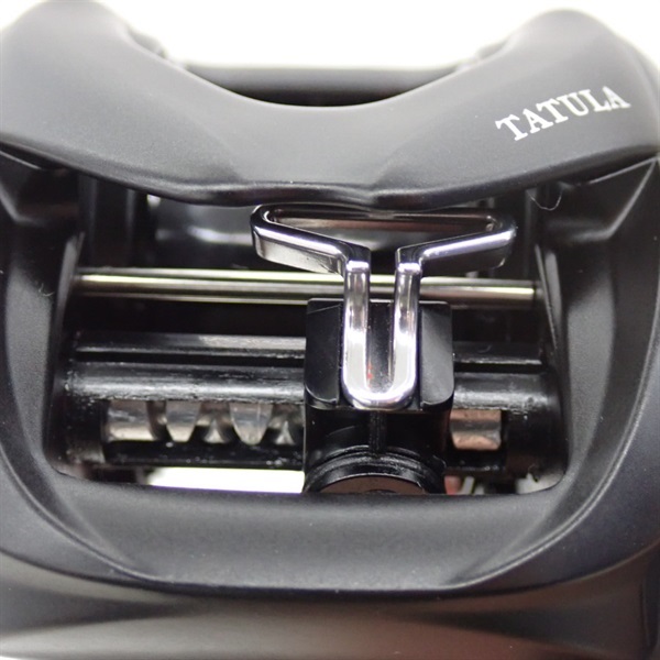 ２４タトゥーラＴＷ１００ＸＨＬ